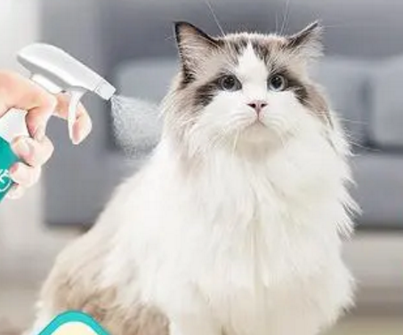 杀虫剂可以喷猫身上的跳蚤吗