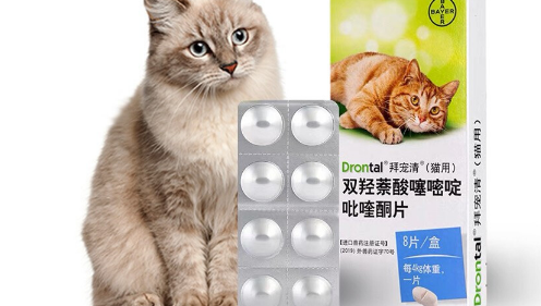 驱虫药猫咪多久吃一次 驱虫药猫咪多久吃一次