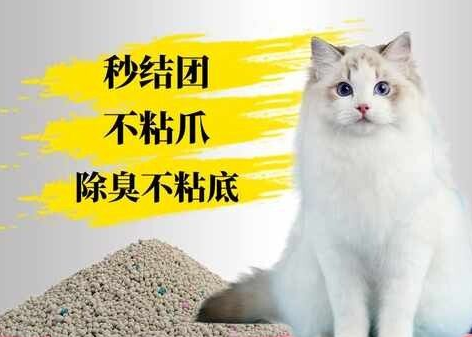 柠檬猫砂的使用方法：守护猫咪健康的清新之选