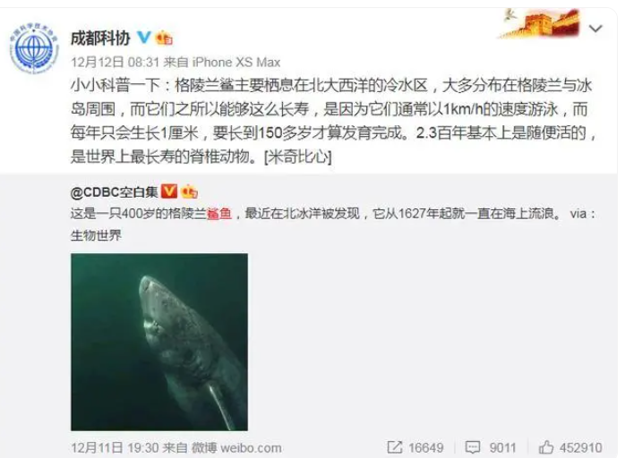 400岁鲨鱼走红,长寿因其“生命在于懒”? 400岁鲨鱼走红,长寿因其“生命在于懒”?