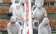 山东亚华宠物食品工资怎么样