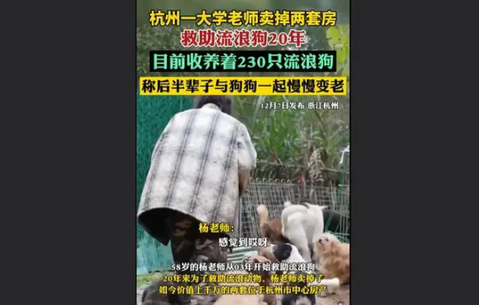 仁心无价:大学老师卖掉价值千万房子,救助流浪狗20年不言放弃 仁心无价:大学老师卖掉价值千万房子,救助流浪狗20年不言放弃