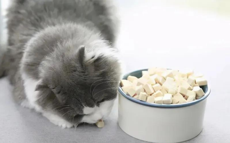 猫最喜欢吃什么 猫最喜欢吃什么