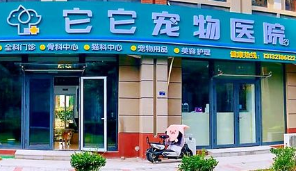 它它宠物医院价格贵吗