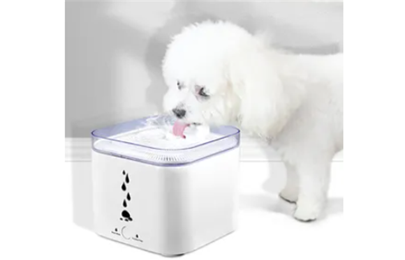 小威宠物用品质量如何 小威宠物用品质量如何