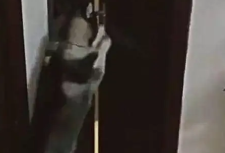 主人外出二哈独自在家,监控拍下狗狗”罪行“,网友直呼狗肉煲了 主人外出二哈独自在家,监控拍下狗狗”罪行“,网友直呼狗肉煲了