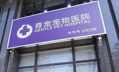 尊宠宠物医院价目表