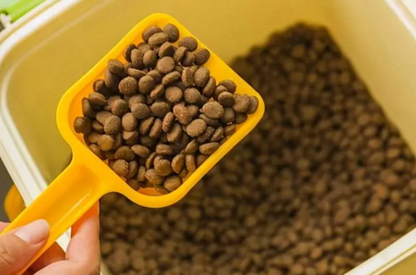华兑猫粮价格贵吗