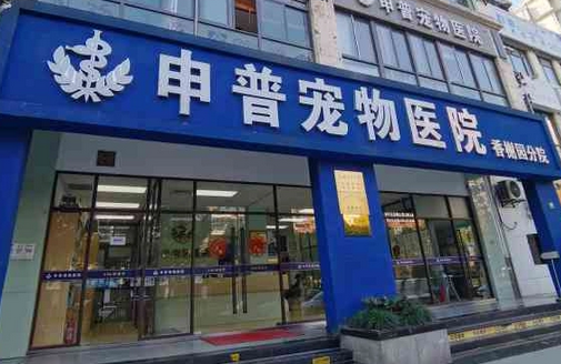 申普宠物医院可以加盟吗 申普宠物医院可以加盟吗