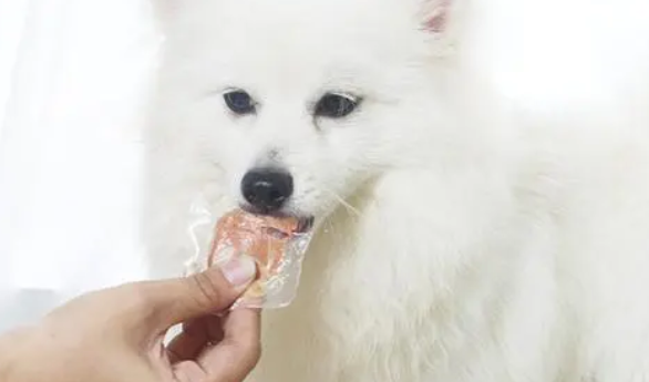 萌啃宠物零食厂家电话 萌啃宠物零食厂家电话