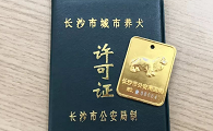 狗证怎么办理每年交多少钱
