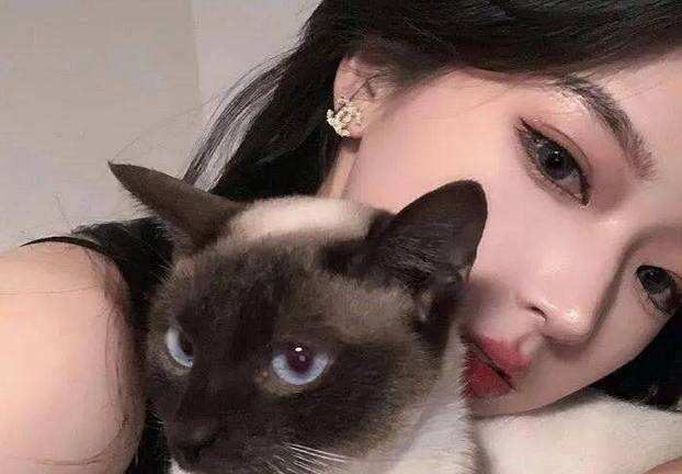 女生发猫的照片啥意思 女生发猫的照片啥意思
