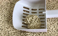 十大口碑最好的猫砂