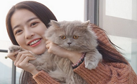 女生朋友圈背景是猫什么意思