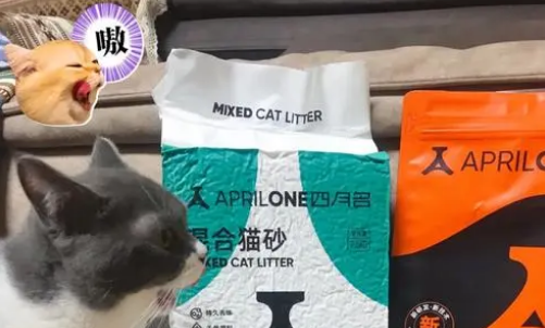 四月名猫砂怎么样