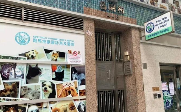 狗狗为了见主人一面,熬过了17天的噩梦,终于回到了主人身边 狗狗为了见主人一面,熬过了17天的噩梦,终于回到了主人身边
