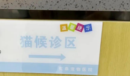 猫“尿闭”治疗后死亡 宠物医院还要起诉主人? 猫“尿闭”治疗后死亡 宠物医院还要起诉主人?
