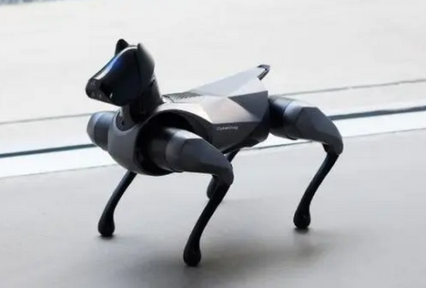 科技狗的图片和价钱