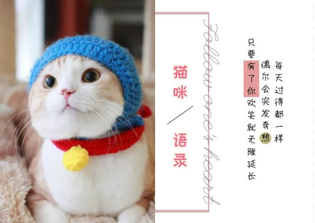 【畅享优品】毛不好吃这个就能变美喵子？解析这些颗粒究竟什么成分！ 