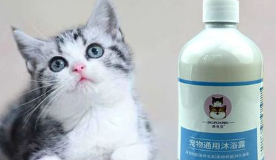 人用的沐浴露可以给猫用吗 人用的沐浴露可以给猫用吗
