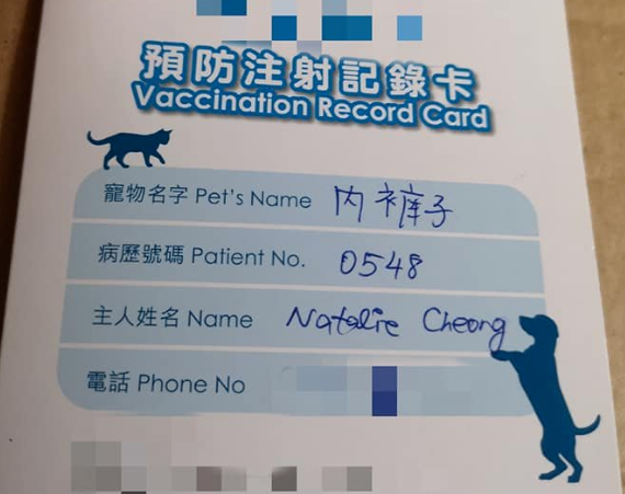 主人带猫去医院,拿到检查报告时忍不住爆笑:她叫摇粒绒,不是姚丽容! 主人带猫去医院,拿到检查报告时忍不住爆笑:她叫摇粒绒,不是姚丽容!