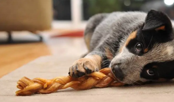 狗狗其实也会有心理压力，二哈突然有这些动作，主人就需要留心了