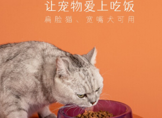 小红栗喂食碗：为你的猫咪带来更好的用餐体验