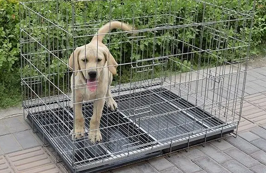 狗笼漏粪设计图 狗笼漏粪设计图