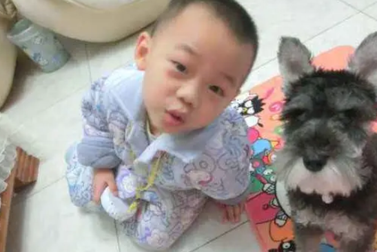 安徽小学校长脚踩流浪狗,目击者称狗狗惨叫连天,网友:建议加薪 安徽小学校长脚踩流浪狗,目击者称狗狗惨叫连天,网友:建议加薪