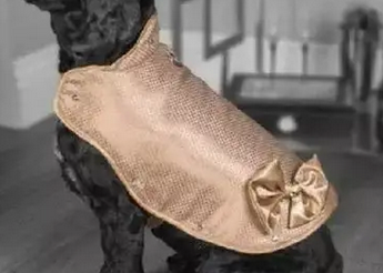 一公司打造史上最贵狗衣服，用料极度奢华，来看看这衣服值多少钱