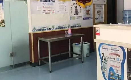 唯它宠物医院怎么样