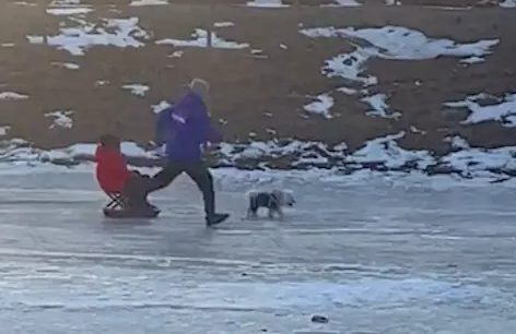 小狗被当成雪橇犬拉主人,被人超车后骂骂咧咧的:敢超我?你等着 小狗被当成雪橇犬拉主人,被人超车后骂骂咧咧的:敢超我?你等着