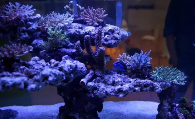 LANDEN 蓝甸新款 REEFMASTER 系列海水套缸回顾（一） —— 细节见真章