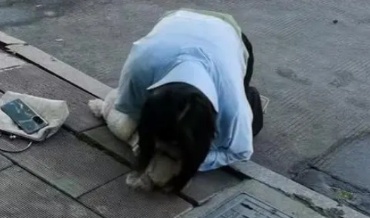 宠物狗被车撞伤,女子当场号啕大哭,给狗做心肺复苏和人工呼吸 宠物狗被车撞伤,女子当场号啕大哭,给狗做心肺复苏和人工呼吸