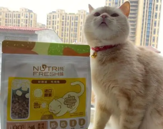 纯皓猫粮到底好不好,纯皓猫粮和皇家猫粮哪个好? 纯皓猫粮到底好不好,纯皓猫粮和皇家猫粮哪个好?