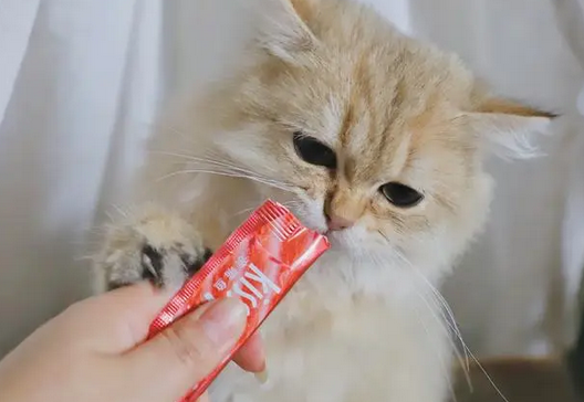 猫条是什么做的？揭秘猫条的制作工艺和营养价值-宠物网
