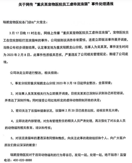 宠物医院员工虐打获救助的流浪猫,公司:开除打猫者并停业整顿 宠物医院员工虐打获救助的流浪猫,公司:开除打猫者并停业整顿