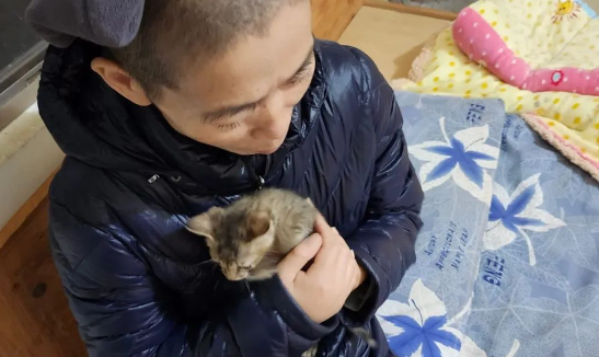 癌晚期的师父捡到流浪奶猫,于心不忍送去救治,但却无力继续照顾... 癌晚期的师父捡到流浪奶猫,于心不忍送去救治,但却无力继续照顾...