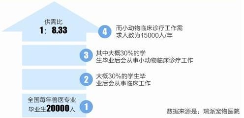 宠物医疗调查:看病比人贵、医生缺口大、专业度待提高 宠物医疗调查:看病比人贵、医生缺口大、专业度待提高