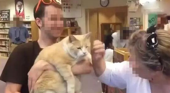 自从这只猫咪乱入了图书馆之后，这里就变成了猫奴聚集的地方