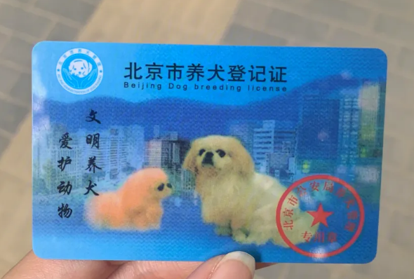 狗证为什么每年都要交钱