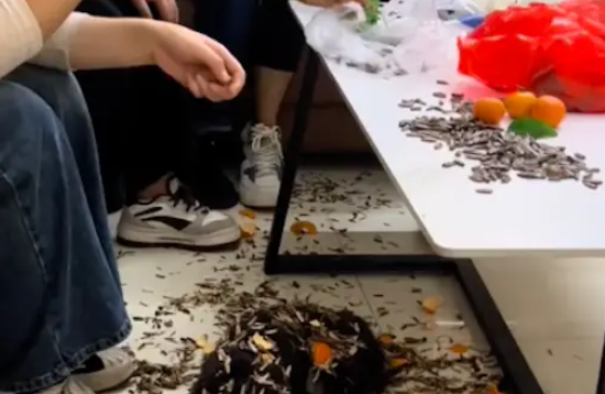 狗狗趴在茶几下面,身上都盖满了瓜子壳和橘子皮!狗:你们真狗啊 狗狗趴在茶几下面,身上都盖满了瓜子壳和橘子皮!狗:你们真狗啊