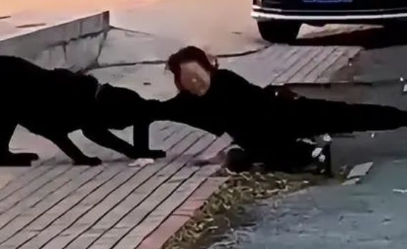 恶犬再伤人!大型黑狗当街撕咬61岁女子,颈动脉断裂 恶犬再伤人!大型黑狗当街撕咬61岁女子,颈动脉断裂