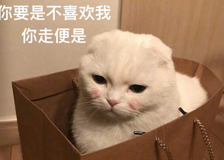 女生做男生的猫 女生做男生的猫