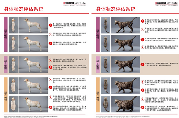 雀巢普瑞纳：以科学带来改变生命的力量 