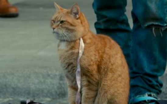 世界上有人戒毒成功吗 世界上有人戒毒成功吗