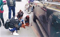 狗没拴绳被车撞死