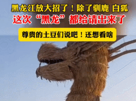 哈尔滨让东北虎变咪咪、北极狐变爱妃、骆驼上松花江…东北网友:尔滨,你让我陌生! 哈尔滨让东北虎变咪咪、北极狐变爱妃、骆驼上松花江…东北网友:尔滨,你让我陌生!