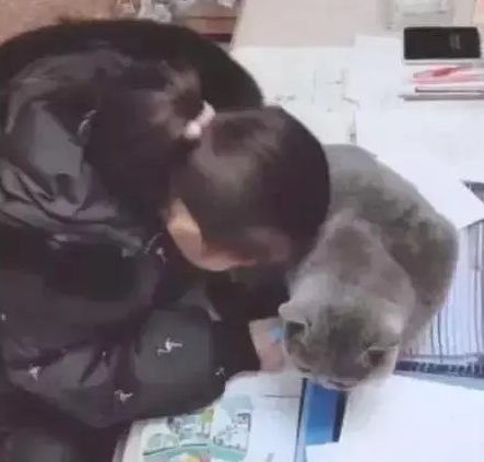 猫咪把作业本压住,怎么都赶不走,小主人无奈埋头吸猫 猫咪把作业本压住,怎么都赶不走,小主人无奈埋头吸猫