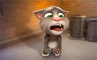 世界上会说话的猫